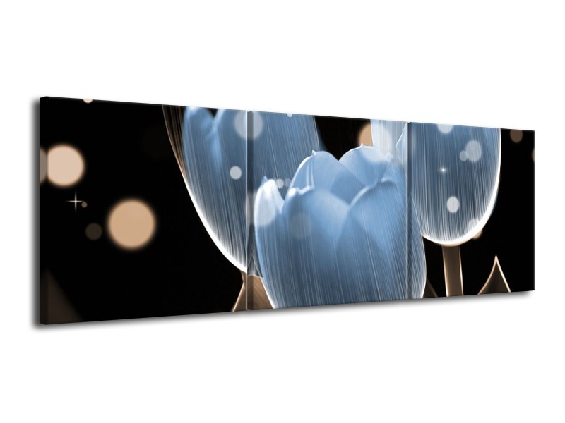 Canvas schilderij Tulp | Blauw, Zwart | 120x40cm 3Luik