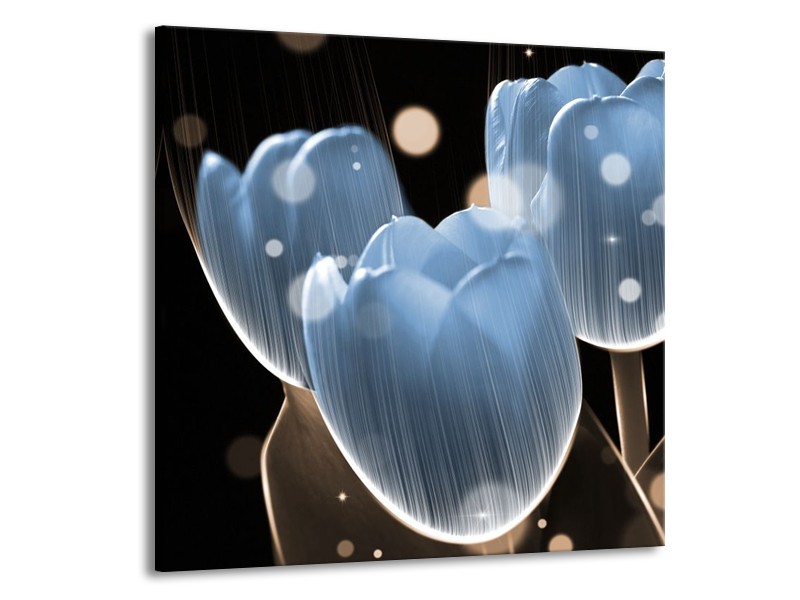 Canvas schilderij Tulp | Blauw, Zwart | 70x70cm 1Luik