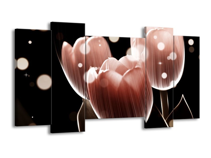Canvas schilderij Tulp | Bruin, Zwart | 120x65 5Luik