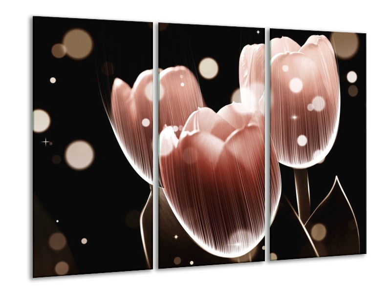 Canvas schilderij Tulp | Bruin, Zwart | 120x80cm 3Luik