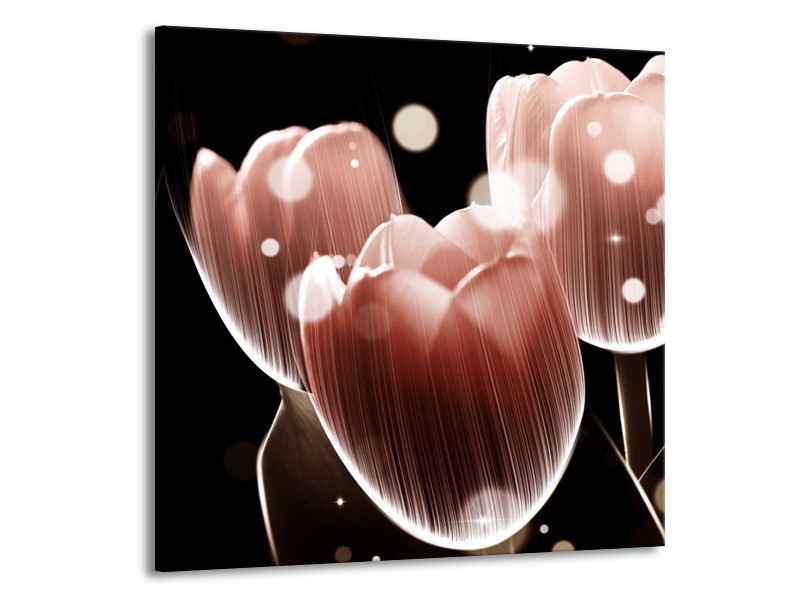 Canvas schilderij Tulp | Bruin, Zwart | 50x50cm 1Luik
