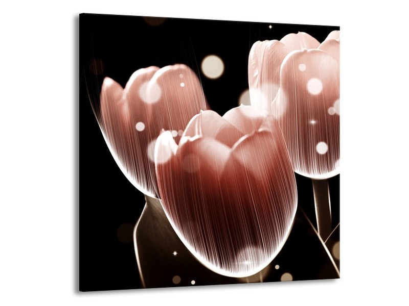 Canvas schilderij Tulp | Bruin, Zwart | 70x70cm 1Luik