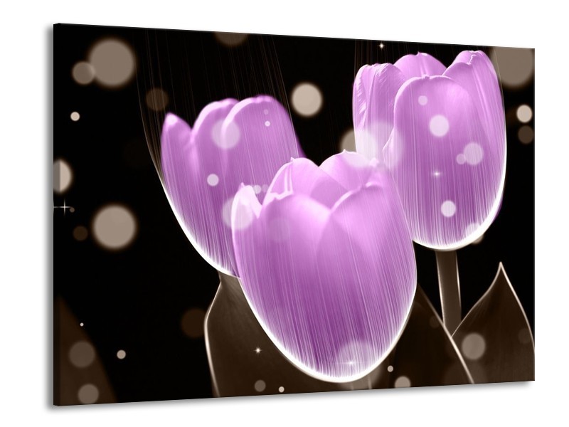 Canvas schilderij Tulp | Paars, Zwart | 100x70cm 1Luik