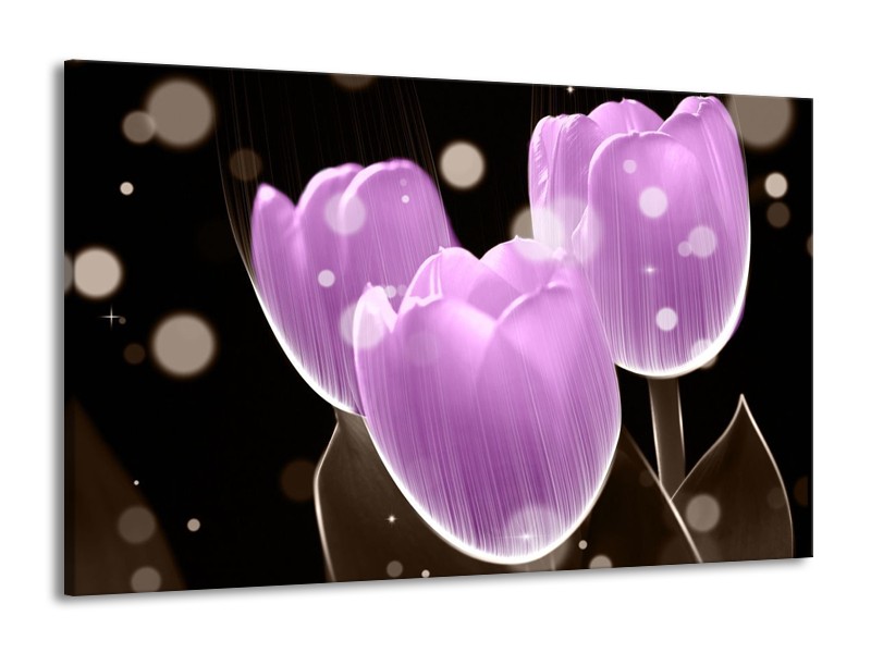 Canvas schilderij Tulp | Paars, Zwart | 140x90cm 1Luik
