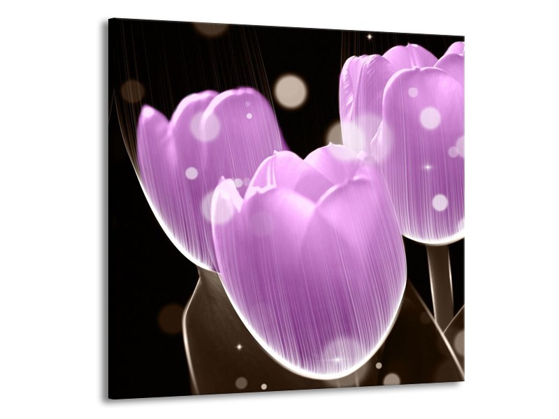 Canvas schilderij Tulp | Paars, Zwart | 70x70cm 1Luik