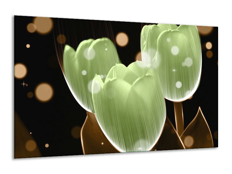 Canvas schilderij Tulp | Groen, Zwart | 120x70cm 1Luik