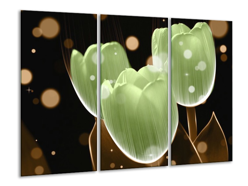 Canvas schilderij Tulp | Groen, Zwart | 120x80cm 3Luik