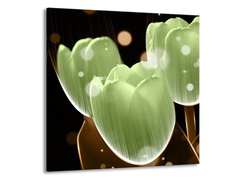 Canvas schilderij Tulp | Groen, Zwart | 50x50cm 1Luik