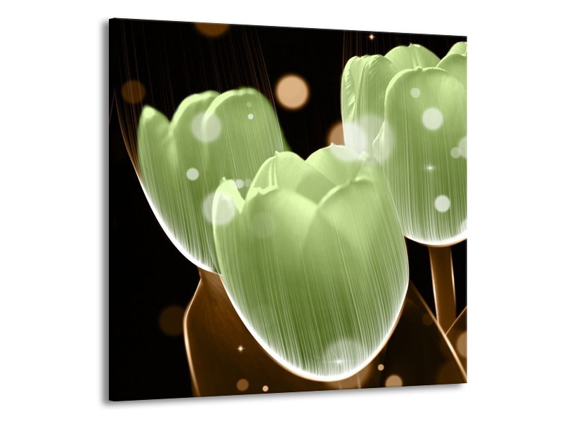 Canvas schilderij Tulp | Groen, Zwart | 70x70cm 1Luik