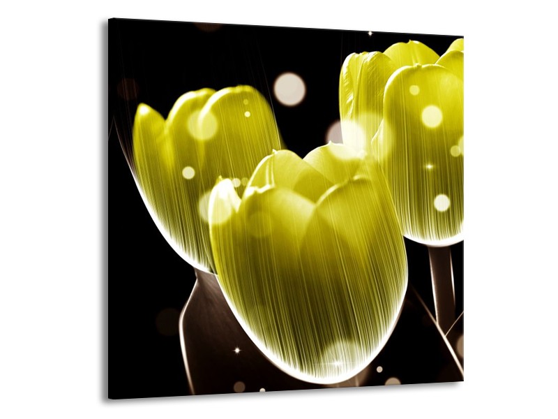 Glas schilderij Tulp | Geel, Zwart | 50x50cm 1Luik