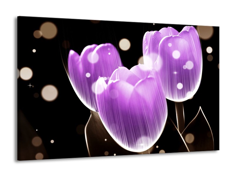Glas schilderij Tulp | Paars, Zwart | 140x90cm 1Luik