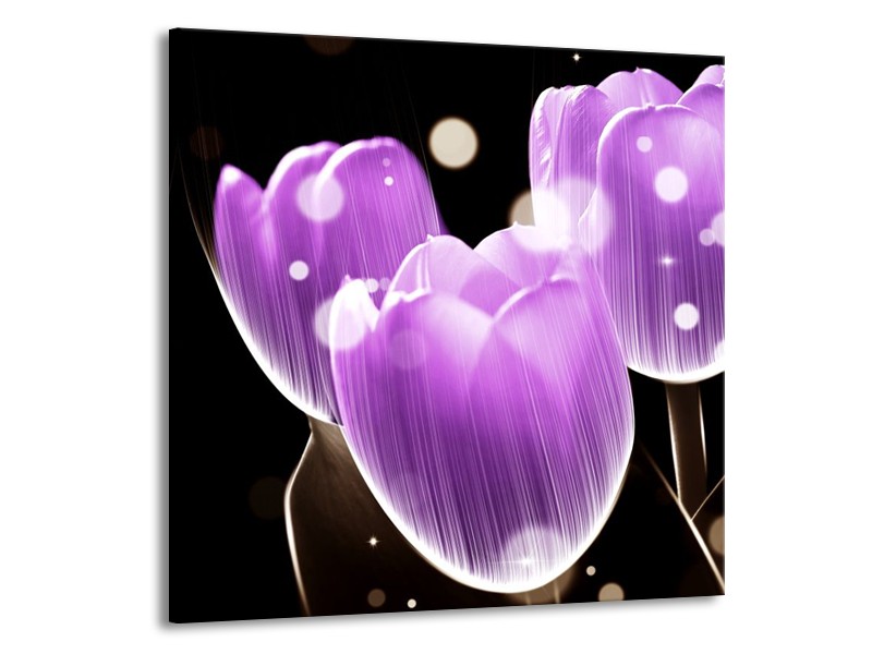 Glas schilderij Tulp | Paars, Zwart | 70x70cm 1Luik