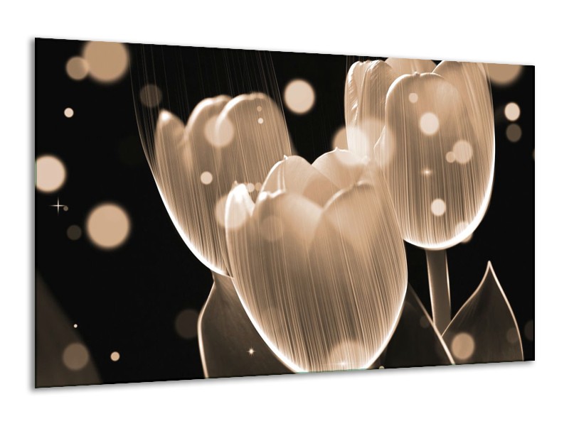 Canvas schilderij Tulp | Grijs, Zwart | 120x70cm 1Luik