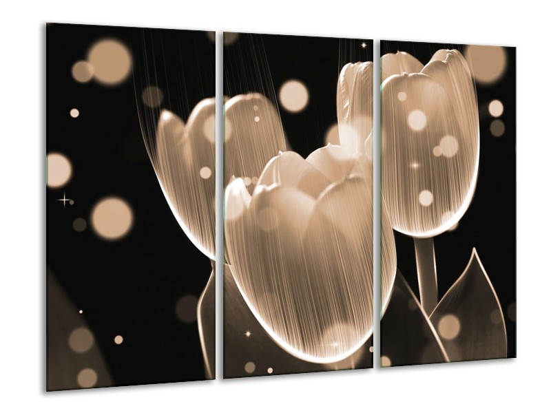 Glas schilderij Tulp | Grijs, Zwart | 120x80cm 3Luik
