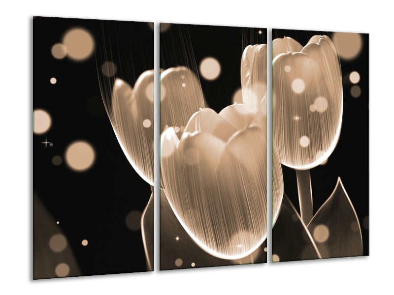Canvas schilderij Tulp | Grijs, Zwart | 120x80cm 3Luik