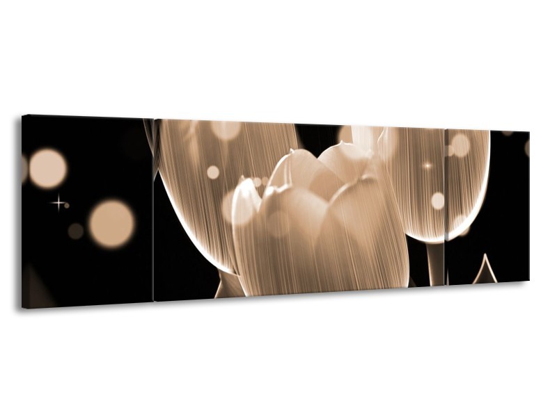 Canvas schilderij Tulp | Grijs, Zwart | 170x50cm 3Luik