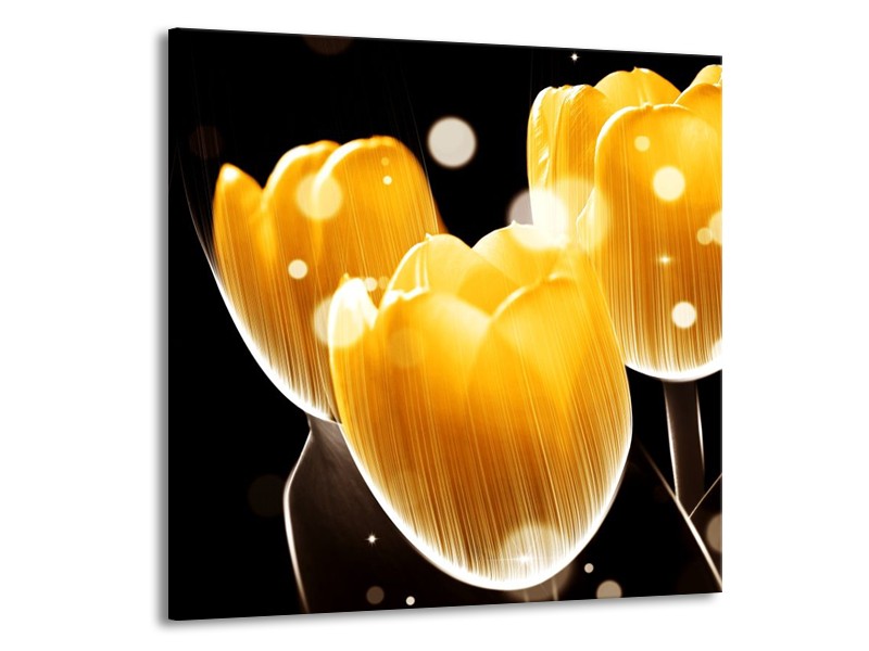 Glas schilderij Tulp | Geel, Zwart | 70x70cm 1Luik