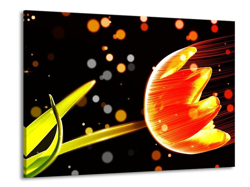 Canvas schilderij Tulp | Oranje, Zwart | 100x70cm 1Luik