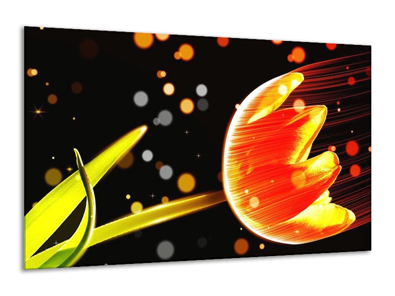 Canvas schilderij Tulp | Oranje, Zwart | 120x70cm 1Luik