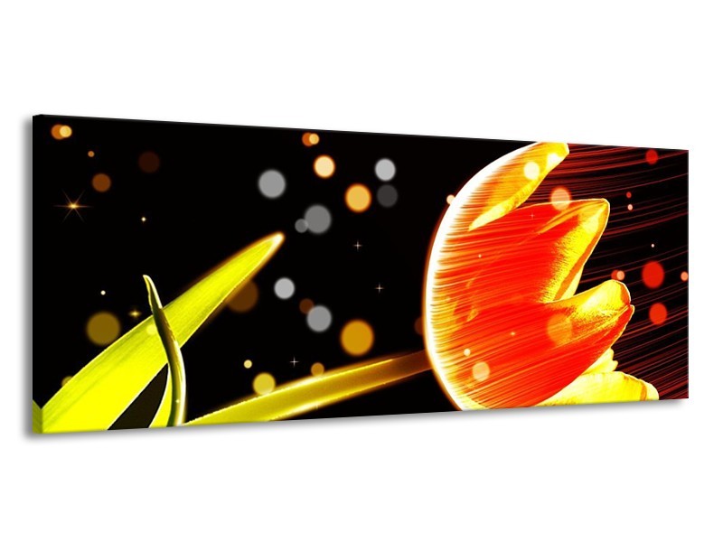 Canvas schilderij Tulp | Oranje, Zwart | 145x58cm 1Luik