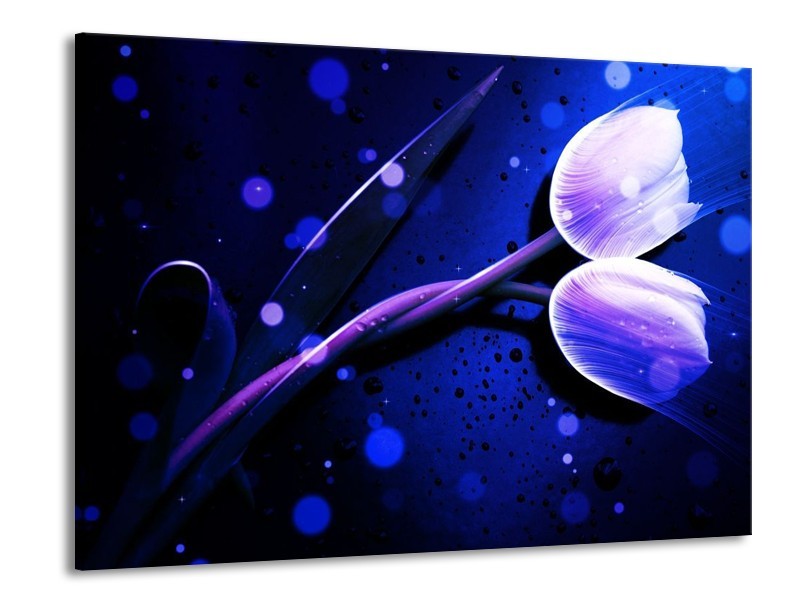 Canvas schilderij Tulp | Blauw, Paars, Wit | 100x70cm 1Luik