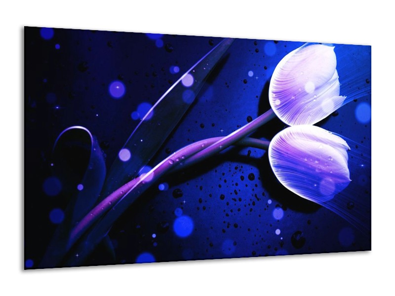 Canvas schilderij Tulp | Blauw, Paars, Wit | 120x70cm 1Luik