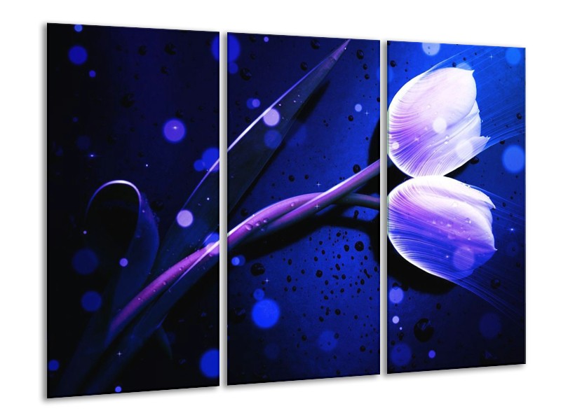 Canvas schilderij Tulp | Blauw, Paars, Wit | 120x80cm 3Luik