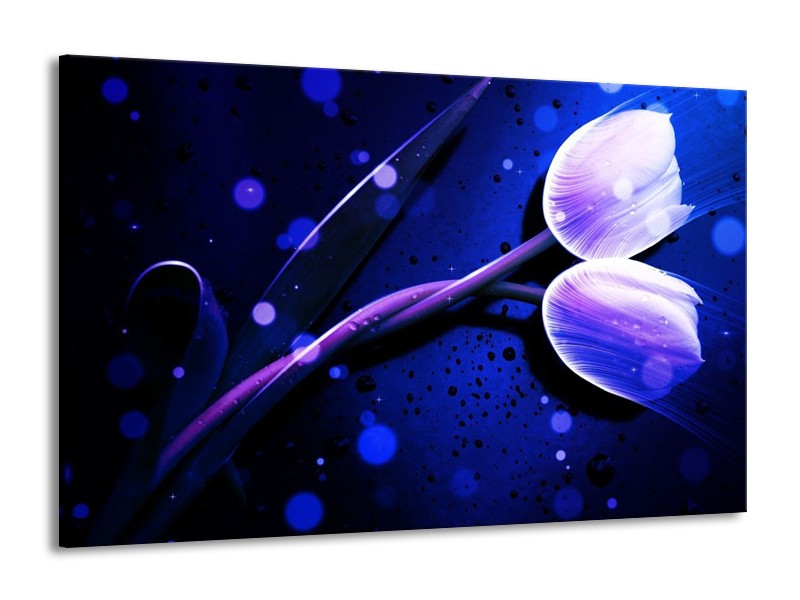 Canvas schilderij Tulp | Blauw, Paars, Wit | 140x90cm 1Luik