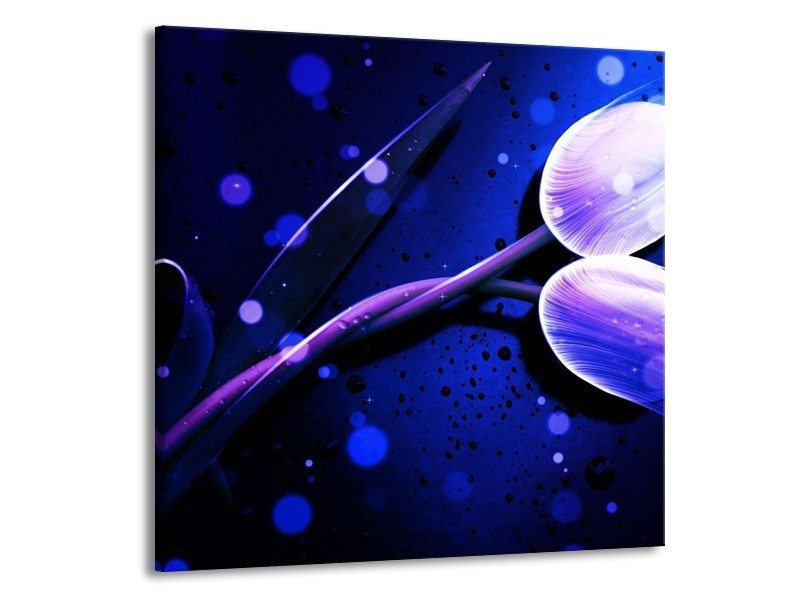 Canvas schilderij Tulp | Blauw, Paars, Wit | 50x50cm 1Luik