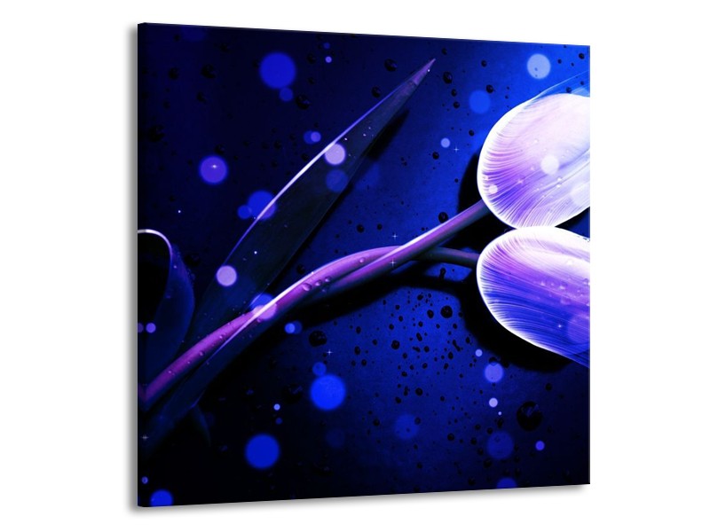 Canvas schilderij Tulp | Blauw, Paars, Wit | 70x70cm 1Luik