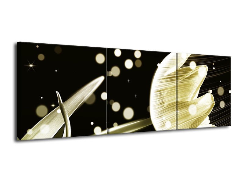 Canvas schilderij Tulp | Geel, Zwart | 120x40cm 3Luik