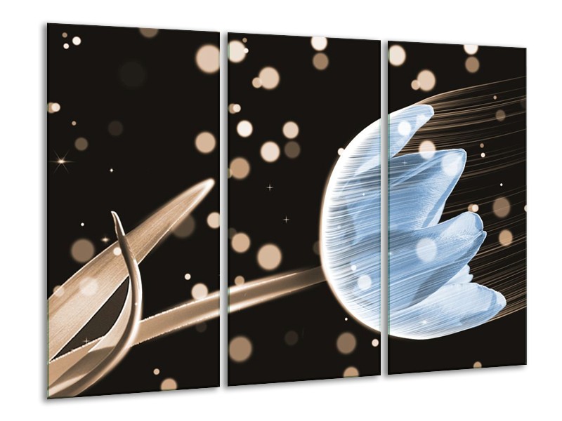 Canvas schilderij Tulp | Blauw, Zwart | 120x80cm 3Luik
