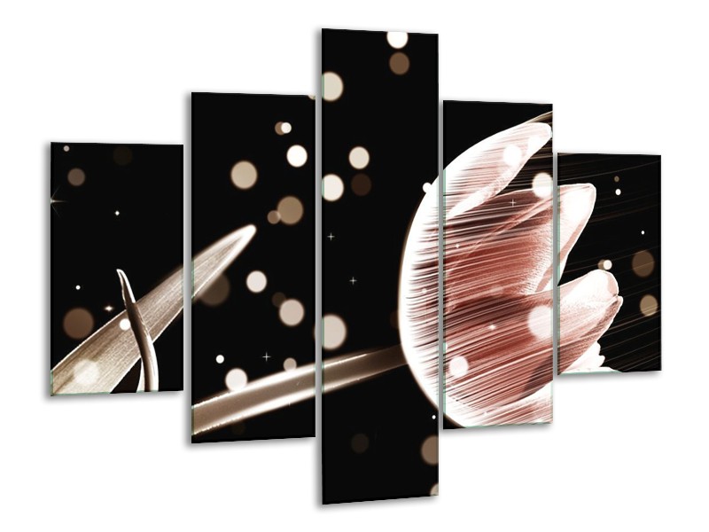 Glas schilderij Tulp | Bruin, Zwart | 100x70cm 5Luik