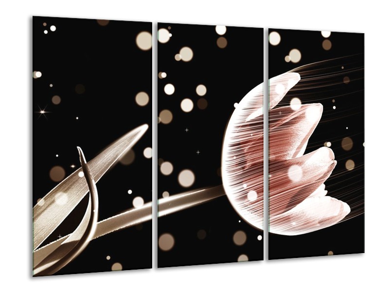 Canvas schilderij Tulp | Bruin, Zwart | 120x80cm 3Luik