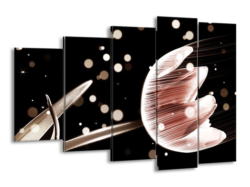 Canvas schilderij Tulp | Bruin, Zwart | 150x100cm 5Luik