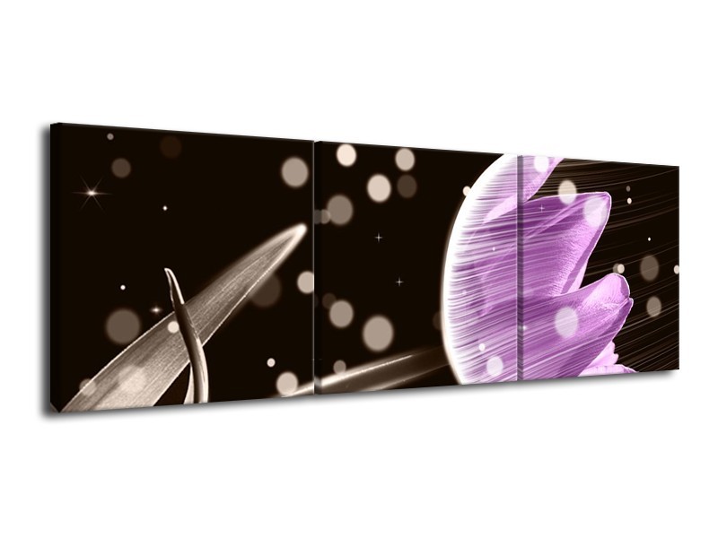Canvas schilderij Tulp | Paars, Zwart | 120x40cm 3Luik