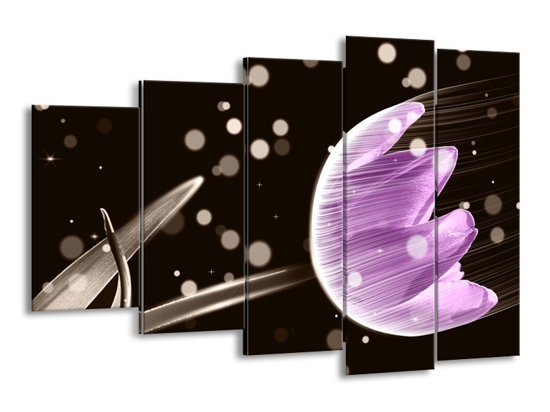 Canvas schilderij Tulp | Paars, Zwart | 150x100cm 5Luik