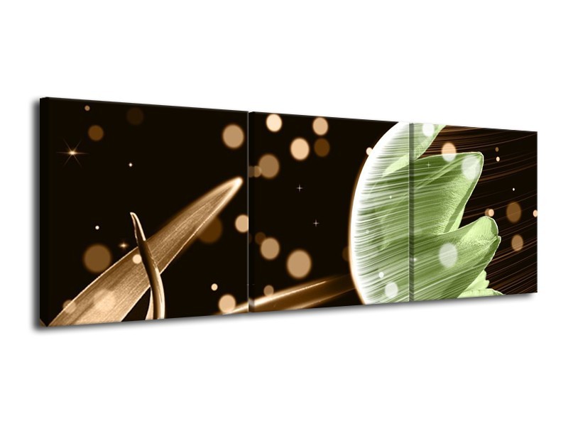 Canvas schilderij Tulp | Groen, Zwart | 120x40cm 3Luik