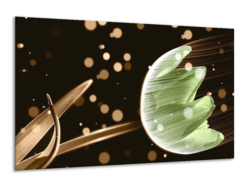 Canvas schilderij Tulp | Groen, Zwart | 120x70cm 1Luik