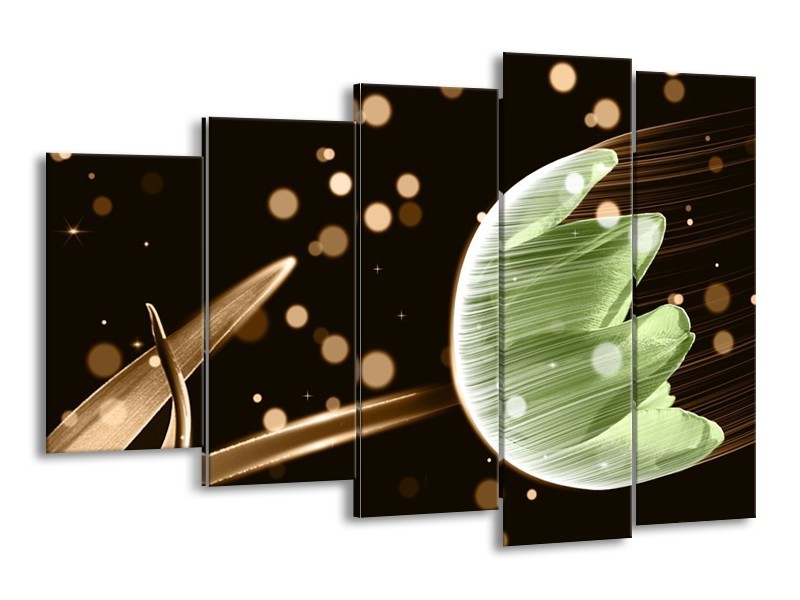 Canvas schilderij Tulp | Groen, Zwart | 150x100cm 5Luik
