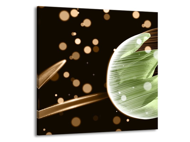 Canvas schilderij Tulp | Groen, Zwart | 50x50cm 1Luik