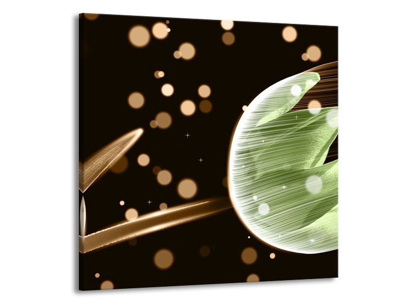 Canvas schilderij Tulp | Groen, Zwart | 70x70cm 1Luik