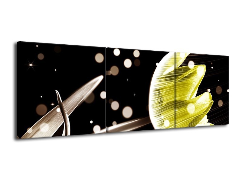 Canvas schilderij Tulp | Zwart, Geel | 120x40cm 3Luik