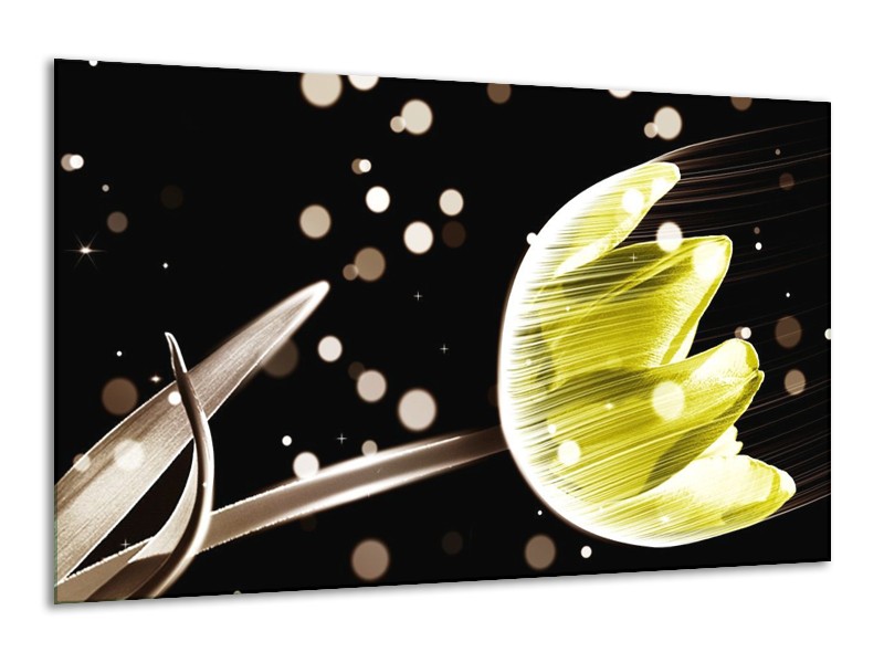 Canvas schilderij Tulp | Zwart, Geel | 120x70cm 1Luik