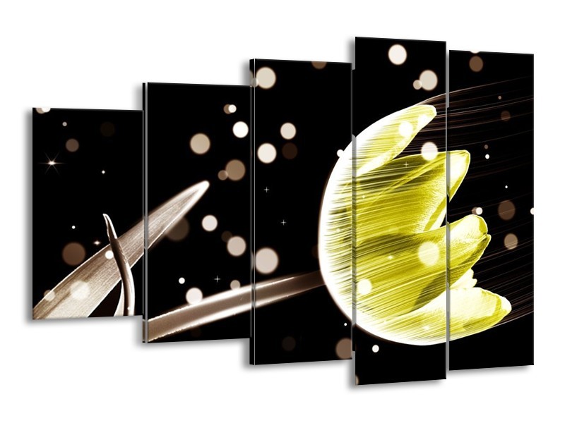 Canvas schilderij Tulp | Zwart, Geel | 150x100cm 5Luik