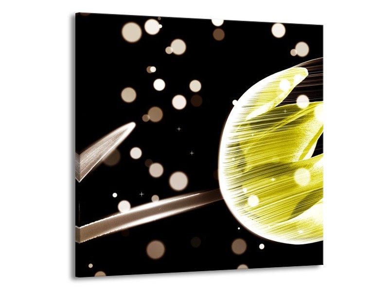 Canvas schilderij Tulp | Zwart, Geel | 50x50cm 1Luik