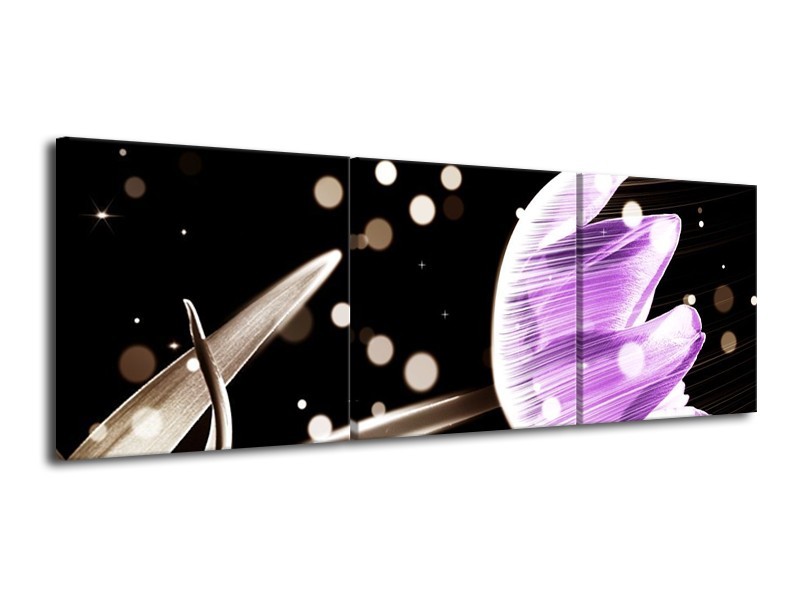 Canvas schilderij Tulp | Paars, Zwart | 120x40cm 3Luik