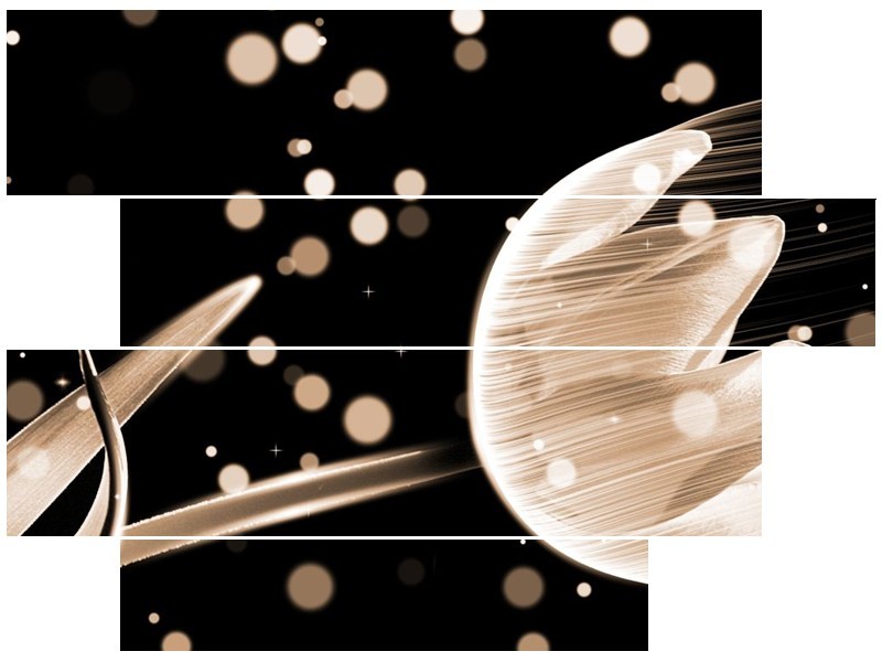 Canvas schilderij Tulp | Bruin, Zwart | 115x85cm 4Luik