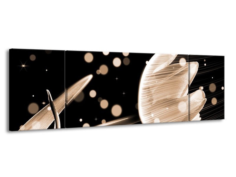 Canvas schilderij Tulp | Bruin, Zwart | 170x50cm 3Luik
