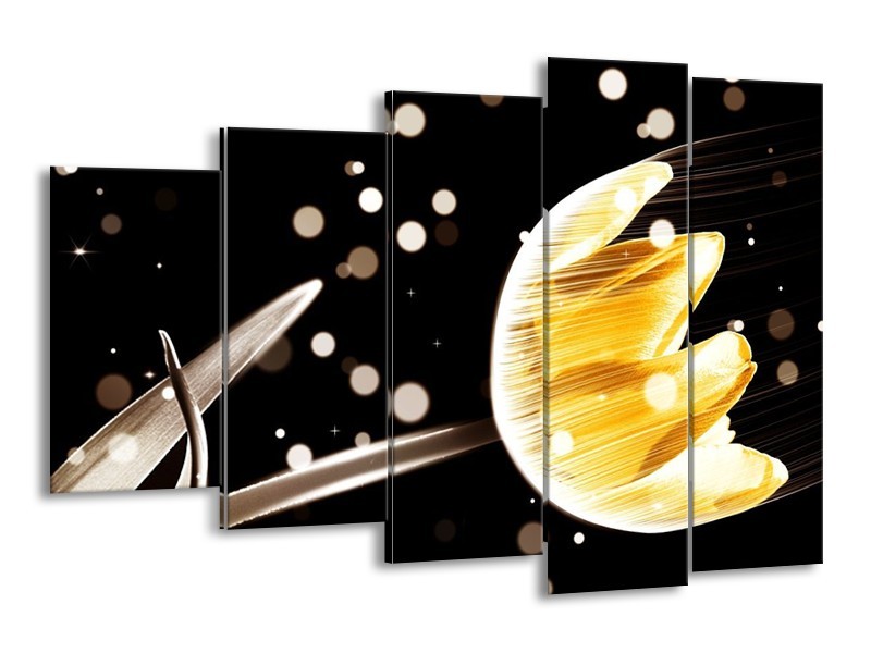 Canvas schilderij Tulp | Geel, Zwart | 150x100cm 5Luik